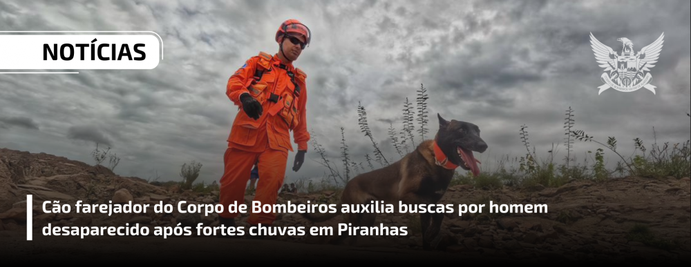 Cão farejador do Corpo de Bombeiros auxilia buscas por homem desaparecido após fortes chuvas em Piranhas